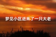 梦见小区进来了一只大老虎-梦见老虎进院子是什么预兆