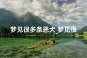 梦见很多条恶犬_梦见很多条恶犬什么预兆