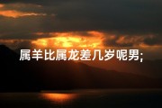 属羊比属龙差几岁呢男;属羊男与属龙男年龄差距揭秘