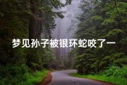 梦见孙子被银环蛇咬了一口-梦到孙子被蛇咬了