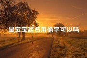 鼠宝宝起名用榆字可以吗男孩(《鼠宝宝取名：榆字中心，寓意美好成长》)
