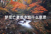 梦见亡妻吃水饺什么意思,梦见死人吃饺子是什么意思