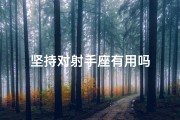 坚持对射手座有用吗