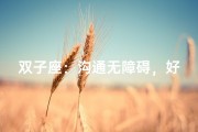 双子座：沟通无障碍，好说话的秘密