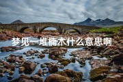 梦见一堆楠木什么意思啊—梦见一堆楠木什么意思啊女生