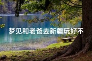 梦见和老爸去新疆玩好不好_梦见和爸爸出去玩儿
