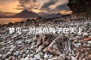 梦见一对绿色鸭子在天上飞;梦见绿色的小鸭子