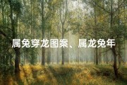 属兔穿龙图案、属龙兔年红衣运势：红色穿搭是否旺运？