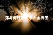 郑与何姓取名字大全男宝宝