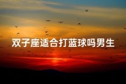 双子座适合打蓝球吗男生-双子座男生打篮球合适吗？