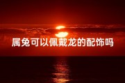 属兔可以佩戴龙的配饰吗(属兔佩戴龙饰，吉祥如意好运来)