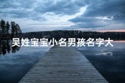 吴姓宝宝小名男孩名字大全_《吴姓宝宝男孩精选小名大全，温馨命名指南》