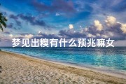 梦见出糗有什么预兆嘛女生-梦见出糗有什么预兆嘛女生解梦