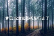 梦见当地富豪搭车行走了-梦见当地富豪搭车行走了啥意思
