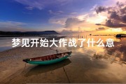 梦见开始大作战了什么意思_梦到开始打仗