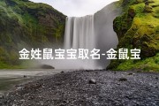 金姓鼠宝宝取名-金鼠宝宝：吉祥如意，金玉满堂
