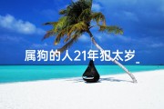 属狗的人21年犯太岁_属狗24年冲太岁化解吉凶攻略：平安渡岁秘籍