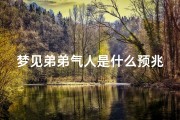 梦见弟弟气人是什么预兆,梦见弟弟气人是什么预兆解梦