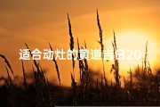 适合动灶的黄道吉日2024