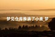 梦见仓库推满了小麦_梦见小麦堆满了仓库