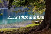 2023年兔男宝宝张姓起名字