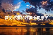 梦见小猫和好多小狗崽子;梦见小猫和好多小狗崽子在一起