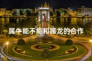 属牛能不能和属龙的合作、属牛属龙合作共赢：携手共创辉煌
