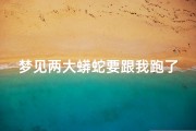 梦见两大蟒蛇要跟我跑了、梦到两条大蟒蛇和很多小蛇