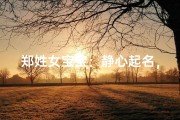 郑姓女宝宝：静心起名，寻觅美好寓意