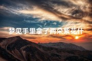梦见手里拿了两朵紫花什么意思(梦见手里拿了两朵紫花什么意思周公解梦)