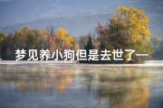梦见养小狗但是去世了—梦见养了小狗死了