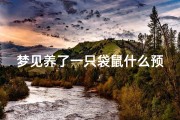 梦见养了一只袋鼠什么预兆-梦见自己养了一只袋鼠