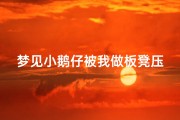 梦见小鹅仔被我做板凳压死了、梦见小鹅仔被我做板凳压死了啥意思