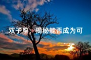 双子座：揭秘能否成为可交心的朋友