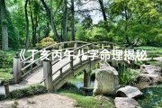 《丁亥丙午八字命理揭秘：命运轨迹深度解析》