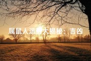 属鼠人运势大揭秘：吉凶测试一测便知