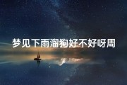 梦见下雨溜狗好不好呀周公解梦;梦见下雨狗叫是什么意思