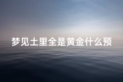 梦见土里全是黄金什么预兆_梦见金色的土
