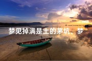 梦见掉满是土的茅坑、梦见掉茅坑里又爬出来洗干净