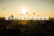 属牛的和属龙的婚姻般配吗