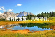 《钱氏宝宝，灵动可爱，寓意美好》