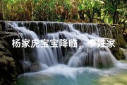 杨家虎宝宝降临，李姓家族添新丁