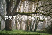 梦见工人给自己的门钥匙,梦见一个人给我钥匙
