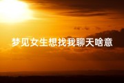 梦见女生想找我聊天啥意思(梦见女生想和我处对象)