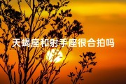 天蝎座和射手座很合拍吗—天蝎射手天生一对？揭秘合拍秘籍