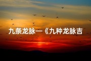 九条龙脉—《九种龙脉吉凶详析大全图揭秘》