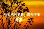 许家虎气男婴，霸气宝宝名扬四海
