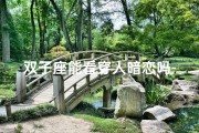 双子座能看穿人暗恋吗-双子座：揭秘暗恋的神秘面纱