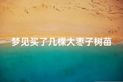 梦见买了几棵大枣子树苗,梦见买枣树苗是怎么回事