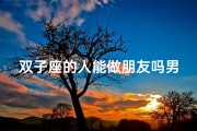 双子座的人能做朋友吗男生(双子座的人能做朋友吗？性格互补的秘诀)